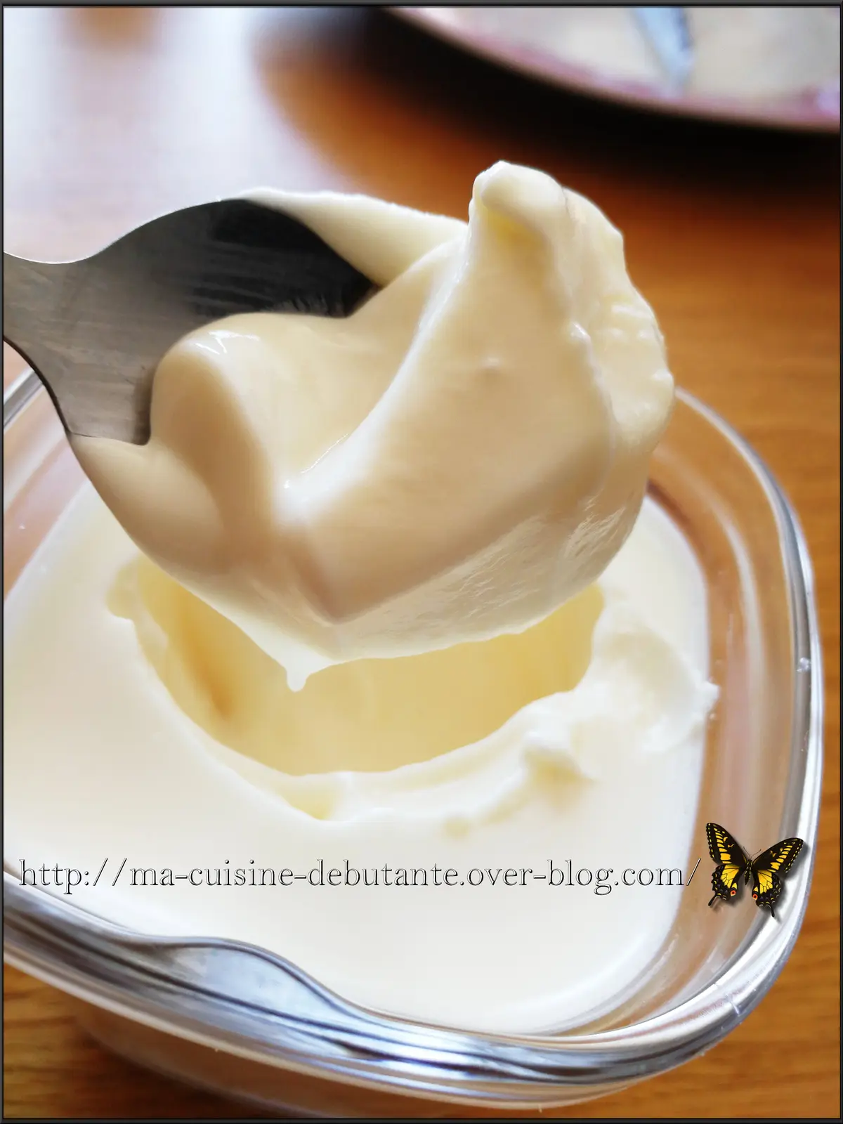 yaourt seb multi delices 5